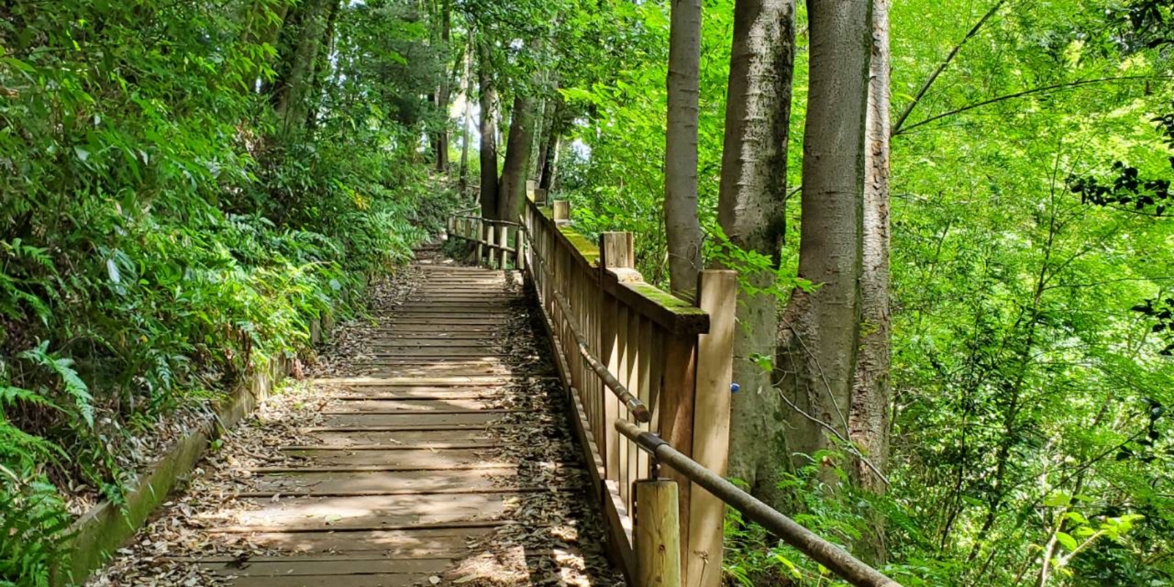 忠生公園のイメージ画像