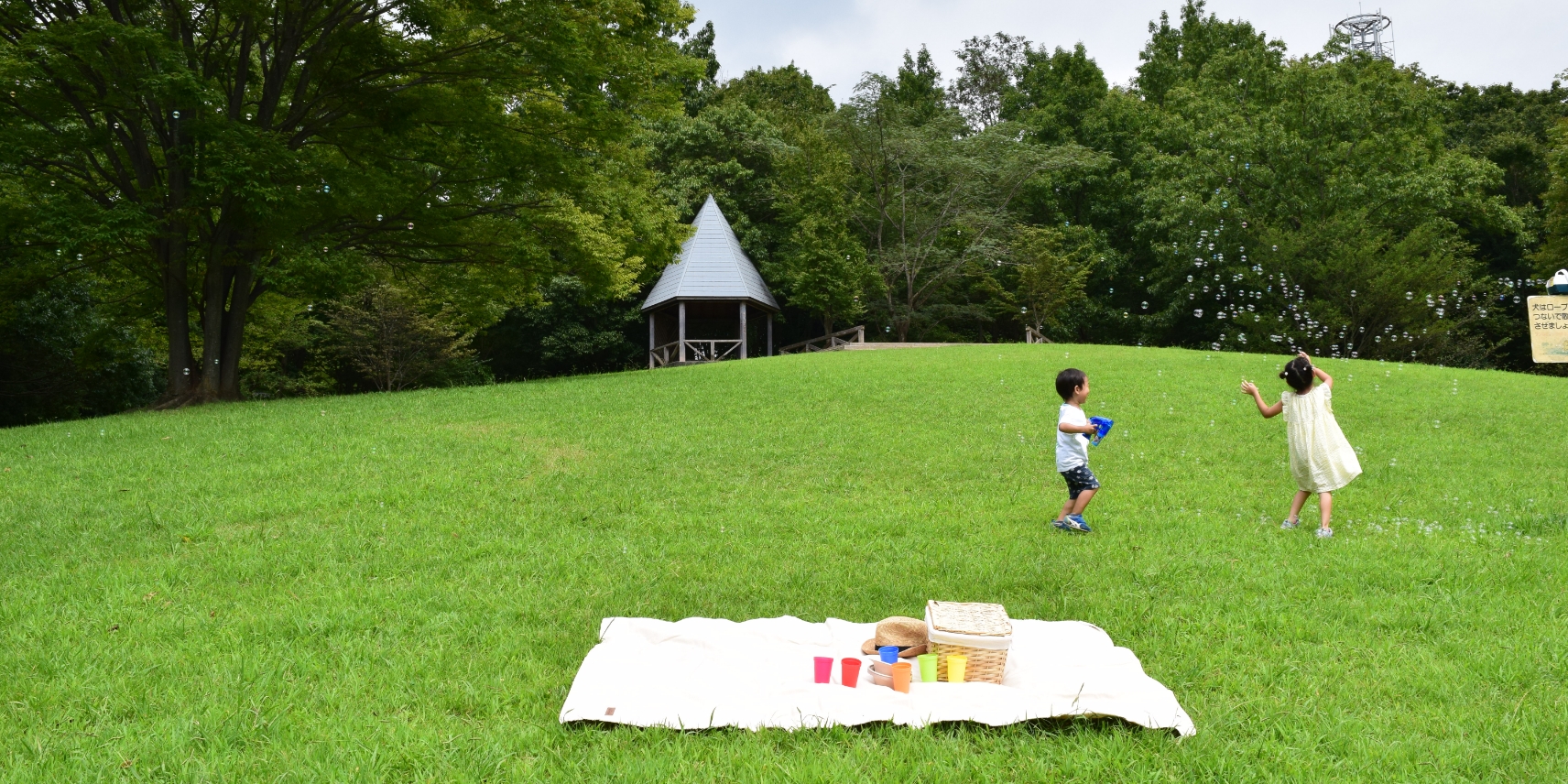 真光寺公園のイメージ画像